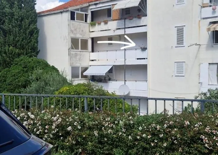 Betta * Ντουμπρόβνικ